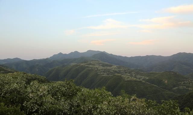 豹子|夫妻俩隐居深山，养7条猛犬当保镖，每年还是有牛羊被野兽吃掉