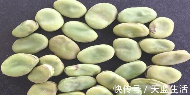 鱼饵|商品饵加上这些东西做鱼饵,钓鱼效果翻一番,拿走配方试试吧