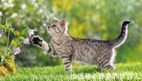 |幽默笑话:和老公(大我一轮有多)谈了一年,两个人准备结婚时