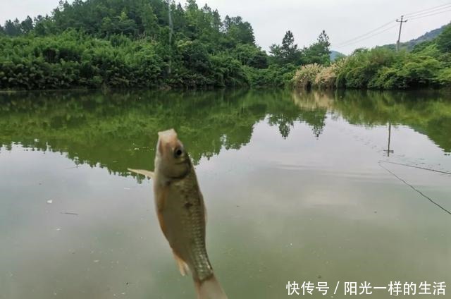 夏季野钓该钓远还是钓近了解鱼儿一日三迁，鱼竿长短好选择