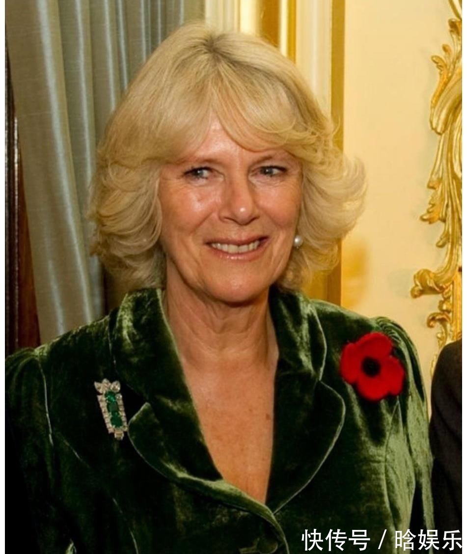 戴安娜王妃 戴对胸针的卡米拉好美,一枚简约的祖母绿胸针,映衬的她优雅大气