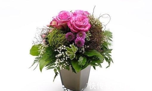 真心|近几天,手摘桃花,勇者无畏,转角相遇,交出真心,多金多福