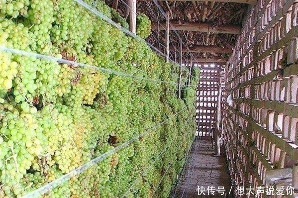 把葡萄|葡萄干吃了30多年,才知道原来错了,看了抓紧告诉身边人