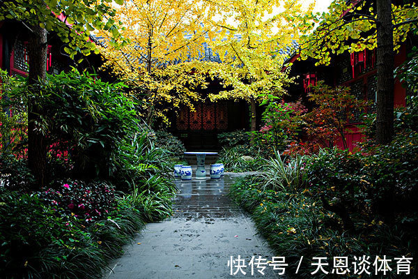 7种树“进宅”,旺财镇宅,延绵百年,家里有地方,一定养一棵