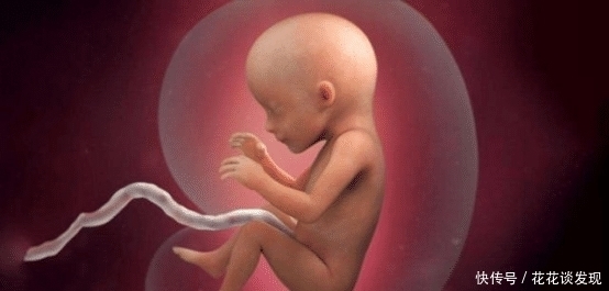 医生|妇科医生暗示胎儿性别有多委婉?这些幽默回答,网友:笑出了鹅叫