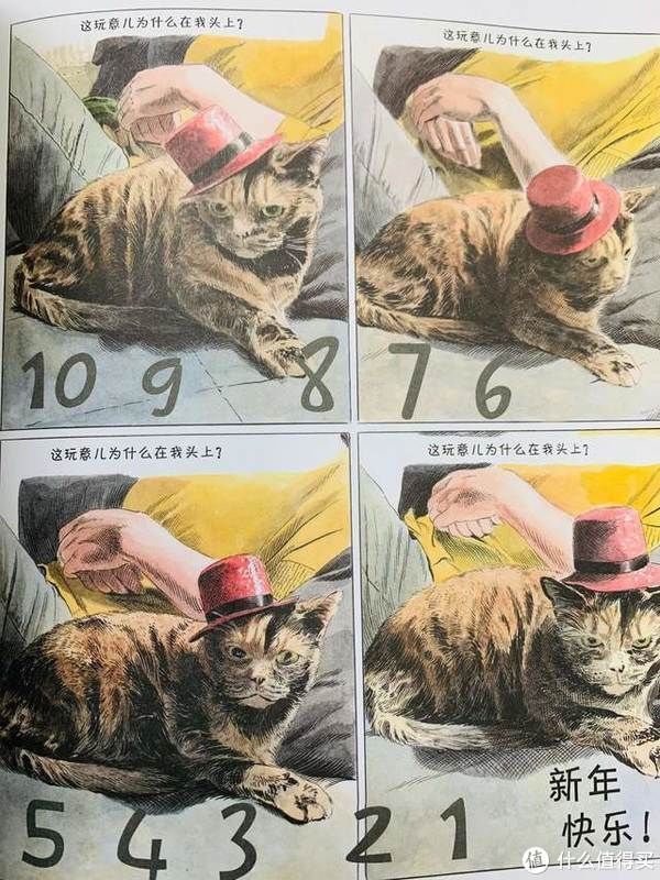 猫生|爆笑治愈的猫生漫画,你不是猫,你怎么知道猫怎么想?