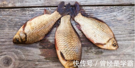 端午后别用蚯蚓了，70岁老渔翁教你3招，新手10分钟钓上10斤大鱼！