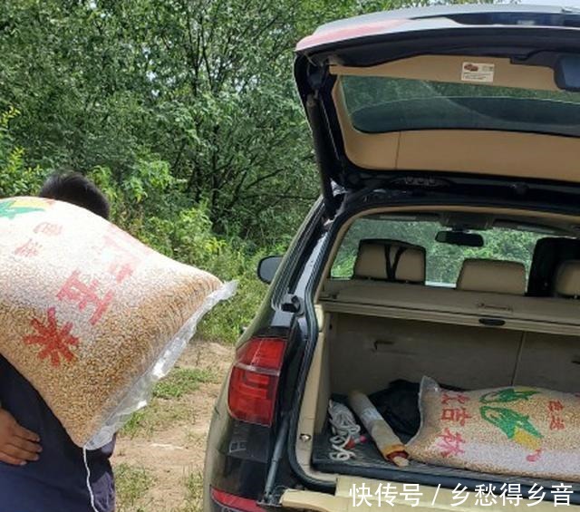 保鲜袋|分享下我前几天钓大草鱼的饵料!