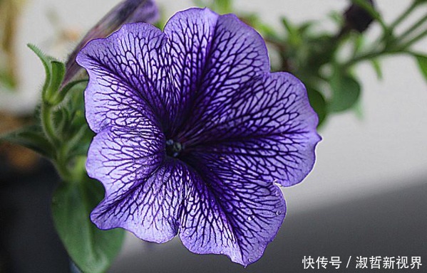 俗话说人在做,天在看,多做4件积德事,晚年必将长寿又多福!