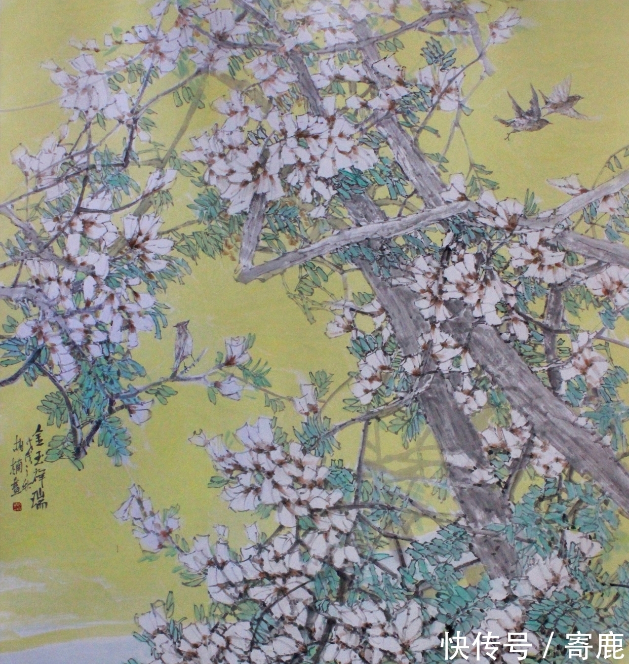 畅春!雅润天成|胡楠「花鸟画」