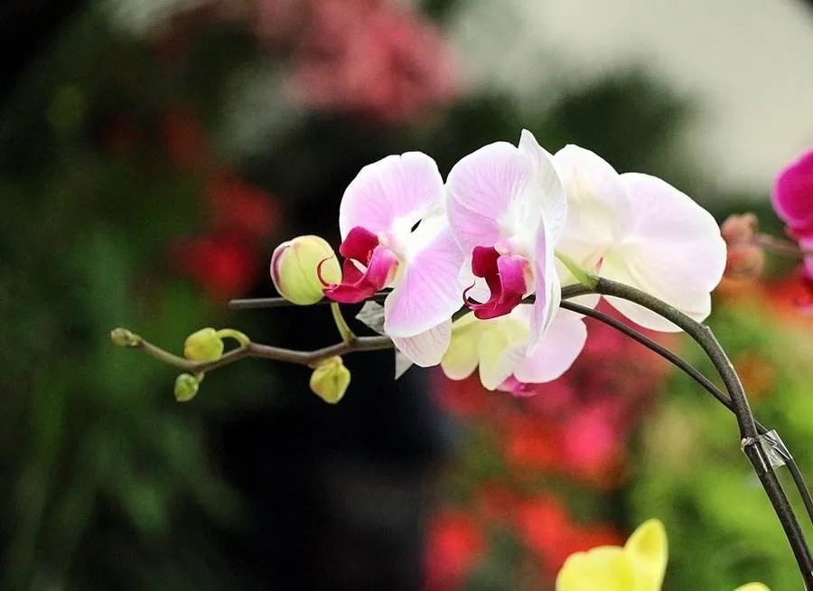 读懂|读懂这个故事,人生便没有怨言