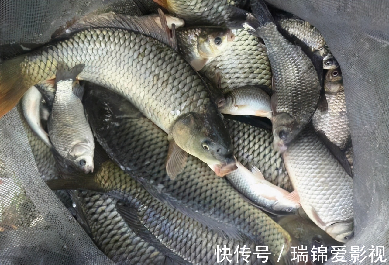 钓鱼时的6大“黄金钓位”,图都给你画好了,遇到了别错过