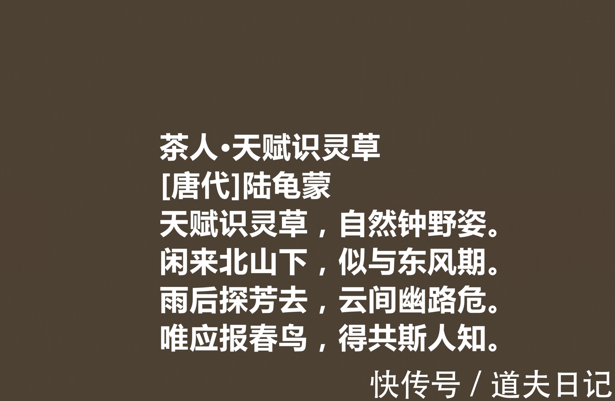 诗文$唐朝隐士诗人,陆龟蒙这十首诗作,体现清闲雅逸,细品后感触颇多