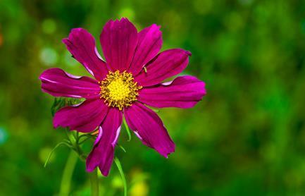 一个女人@真正聪明的女人,懂得“不闻不问”