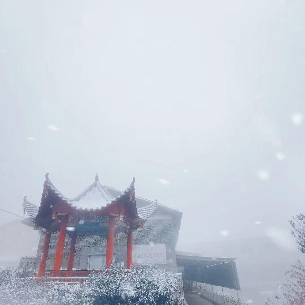 闽北雪景美图合集来啦～真正银装素裹，宛若琉璃世界！