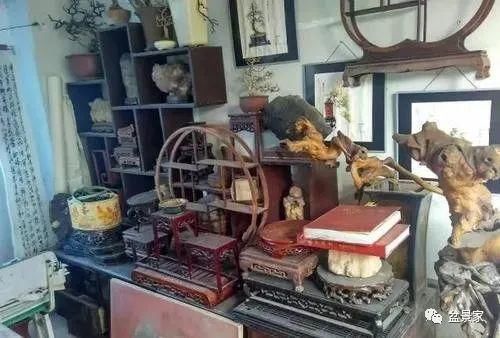 张光前和他30年的盆景生涯