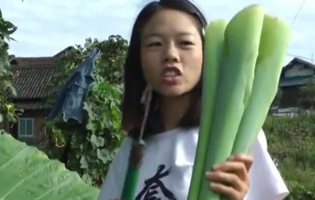 芋禾|农村地区的这种野菜,很多人以为都不能吃,其实清炒出来特别美味