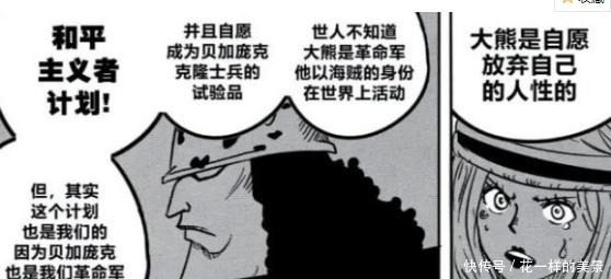 海贼王乔艾莉·波妮竟然是暴君熊的母亲，信息量太大