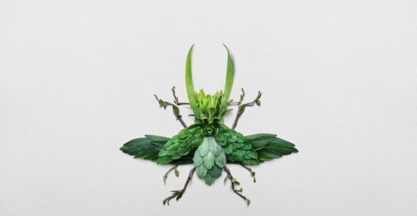 花卉&他拿花瓣、树叶随便一剪一贴就卖23万!网友:买过的人都说“值”