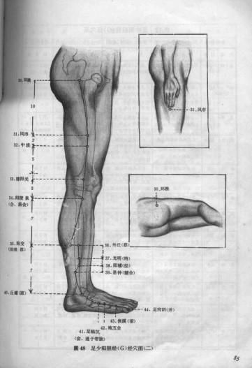 堵塞|健康养生：敲胆经，敲掉垃圾，敲除白发，收藏了吧