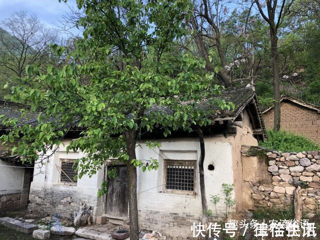 五树&俗话说“院中栽五树,子孙一直富”,啥意思指的是哪五种树