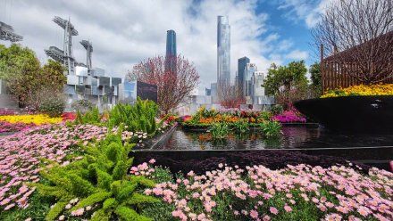 广州园博会延至正月十五