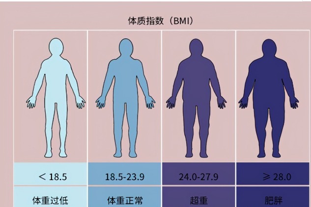 内分泌平衡|女人50岁后,是胖点好还是瘦点好医生告诉你标准体重,自查下