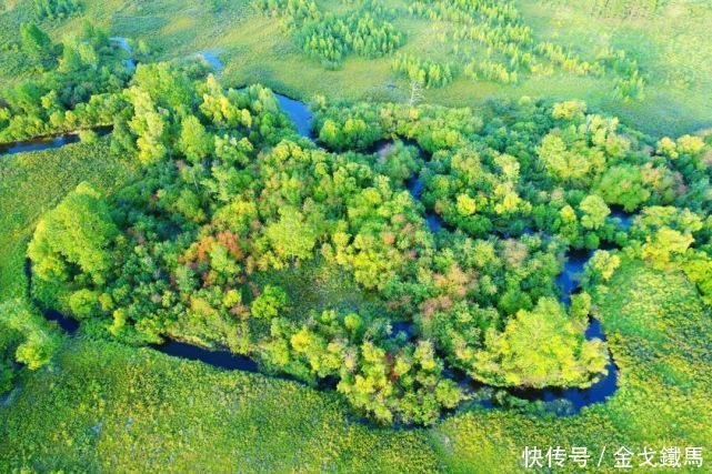 干得漂亮!中国一个行动为全球做出贡献,科研员:还是低估了