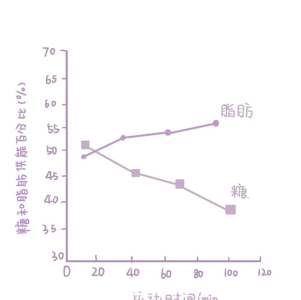 燃脂|冬天跑步最减脂但要这样跑才能无伤，悄悄变瘦