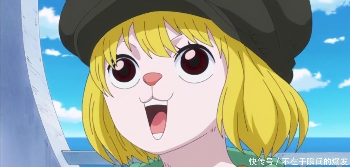 小冯|海贼王:以下9人中,你希望哪些人能够加入草帽团?