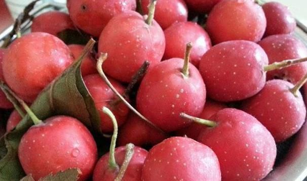 枸杞|山楂加枣泡水饮,相当于半小时的“运动”,助美白还治失眠!