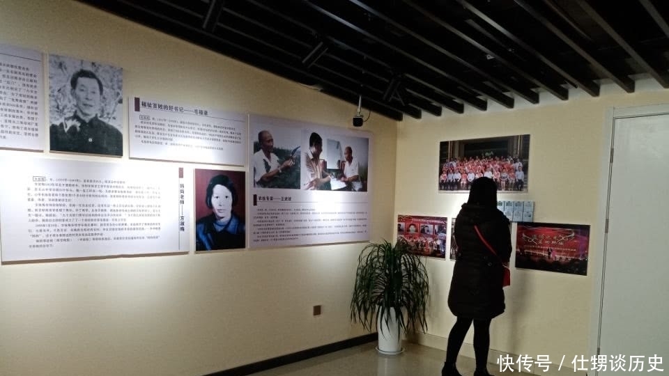 红豆杉是天然健康树,与野狼标本一起摆在展厅,真是赏心悦目