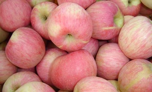 退烧药|宝宝发烧吃6种水果,比吃退烧药有效果,而且对身体还好