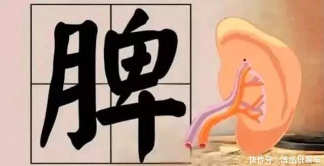 外科正宗|百病皆由脾胃衰,一个经典食疗方,专治脾胃虚弱