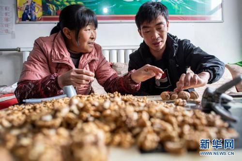 新华社发|黄土高原上的电商“大拿”