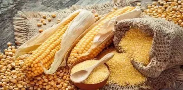 燕麦|就算你胖成球,只要晚上不吃米饭吃这几种主食也会瘦成猴