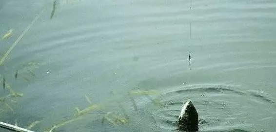 冬天钓鱼想找到鲫鱼一点也不难,按我的方法做,几分钟就能搞定!