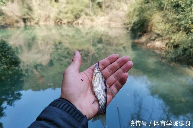 吃不得|钓到病鱼、畸形鱼能吃吗别贪嘴，有些鱼吃不得，还是放流为好