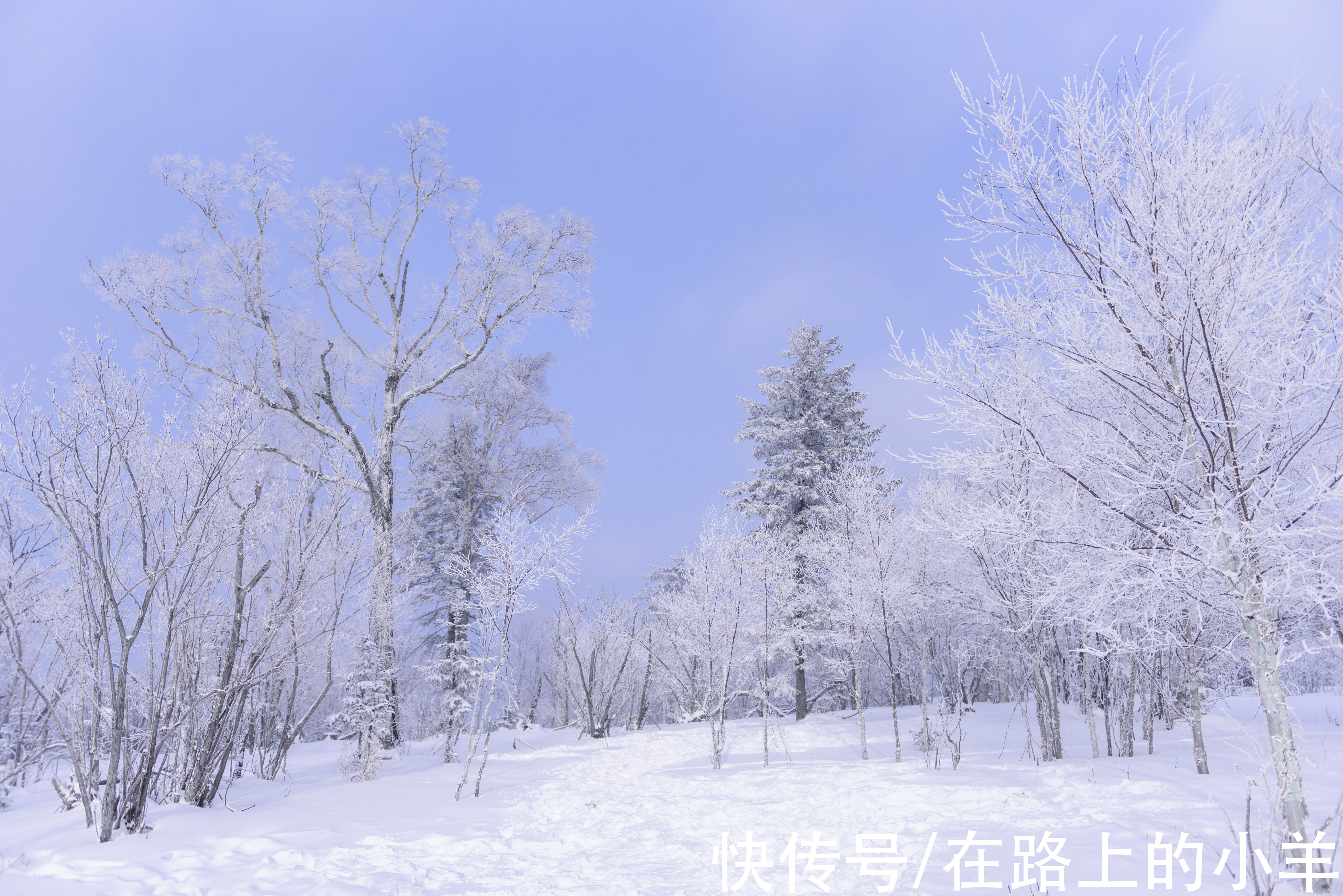 万科|旅游全国唯一“省和市同名”的城市，体验不输北海道的玩雪天堂