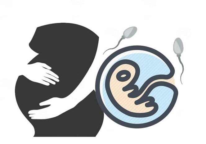 拔罐|拔罐是在排毒?这些真相你不搞清楚,怕是掏了金子,也毁了身子