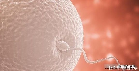 妈妈|宝宝在这3个“时刻”出生,妈妈也跟着沾光,不妨看你孩子占几个