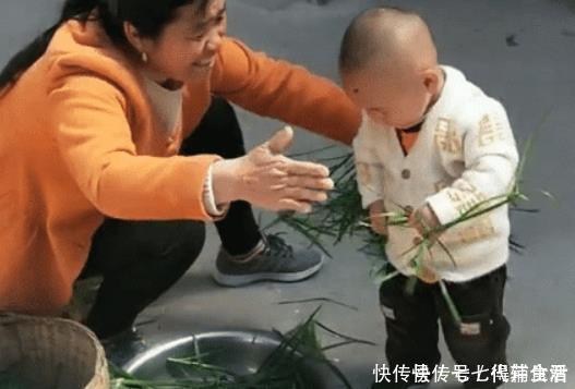 实力|“会干的不想干,不会干的抢着干”,萌娃实力帮倒忙,摘韭菜火了