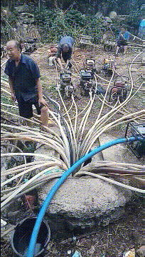 |搞笑GIF:大姐你听解释,我真的不是故意撞上去的