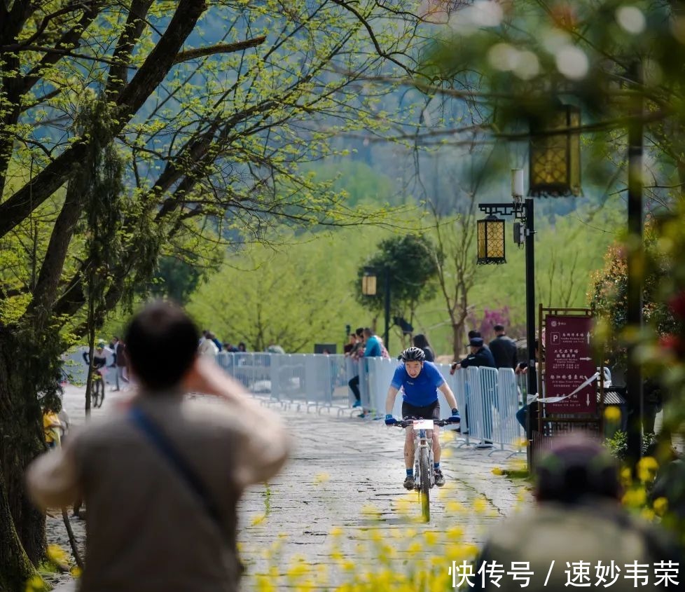 春游黟县丨最美赏花游攻略