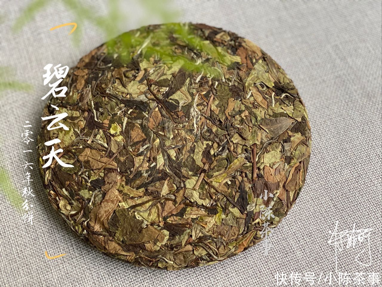 散茶|散茶和白茶饼哪个更值得收藏？听说压饼后不利于转化，是真的吗？