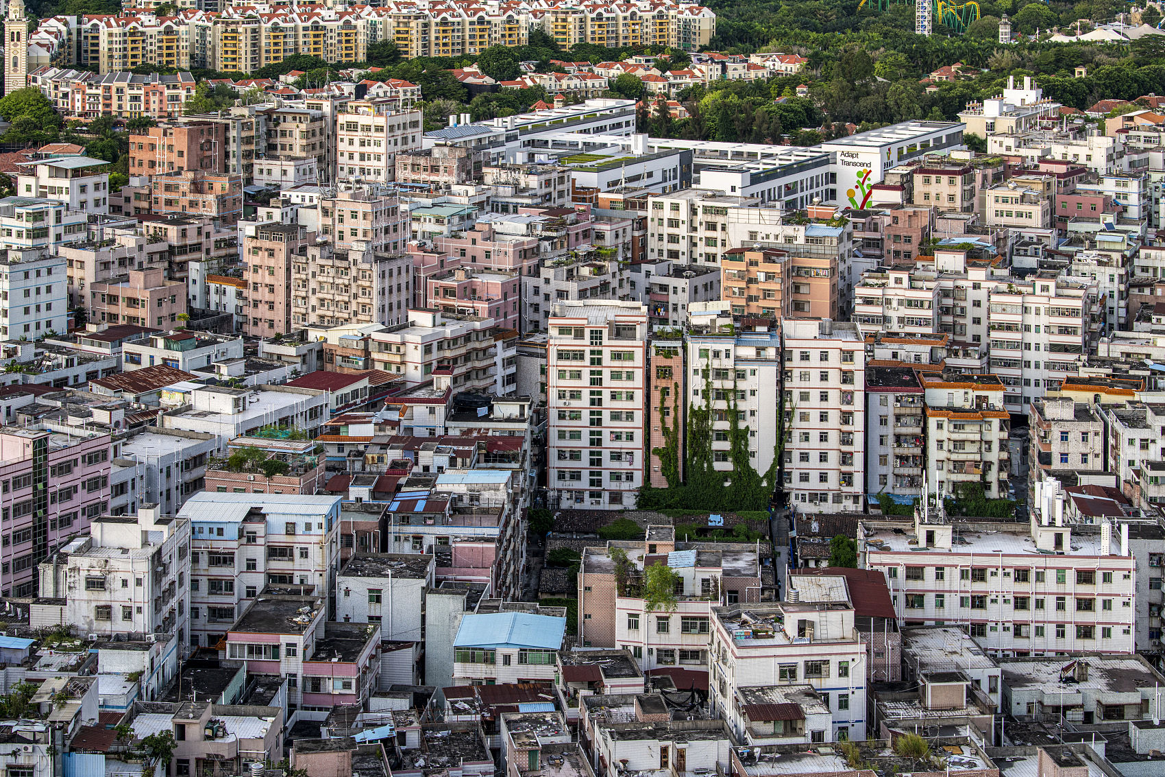 旧改|深圳最大城中村旧改开工，白石洲：百万深漂的起点