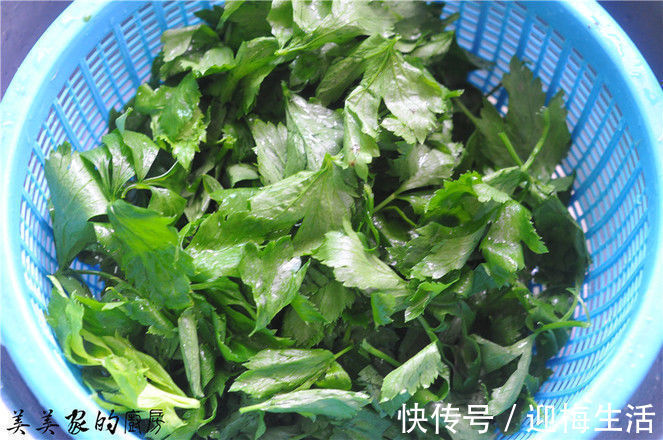 叶片|秋天,黄瓜冬瓜不如吃这瓜,铁含量比西红柿高5倍,才3元一斤