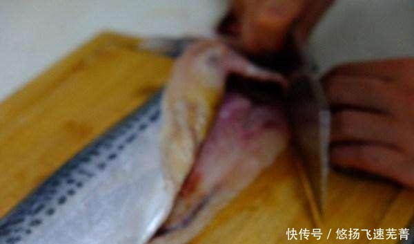 厚实|肉质厚实、肥嫩,有弹性,刺少,味道鲜美,带你做美味鲅鱼!