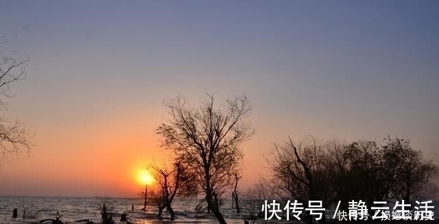 别柳枝&牛!他写诗劝白居易莫怕老,却激起天下所有老人的豪情,名句流传