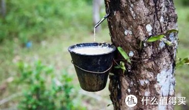 床垫|什么材质的床垫好？20+主流材料超全分析【附相关材质不同价位品牌清单】最全床垫攻略！纯干货！！！